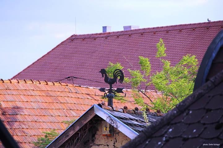 Rozmaringos Udvarhaz Dunafoldvar Luaran gambar